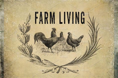 Rustic Vintage Farm Logo Vectors Creative Logo Templates ~ Creative