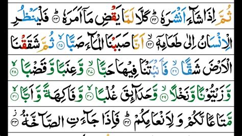 Surah Al Qaria Mishary Al Afasy Tajweed Quran Otosection