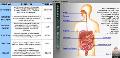 FACTURACION SENA CUADRO COMPARATIVO Hot Sex Picture