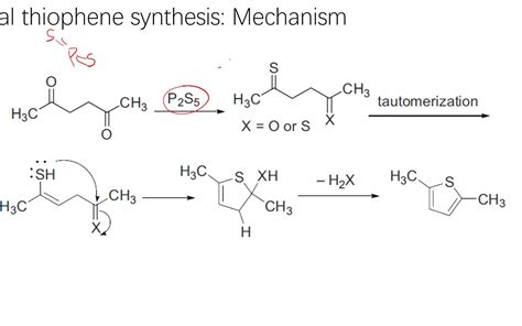 Paal Knorr Synthesis Of Thiophene - 有机人名反应（197）：Paal thiophene synthesis_哔哩哔哩 (゜-゜)つロ 干杯~-bilibili