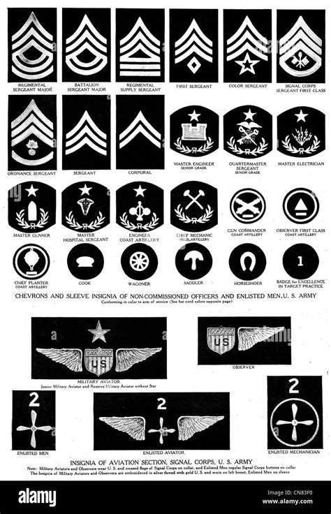 Usarmy Rank And Insignia Identification Ww1 Army Ranks Military