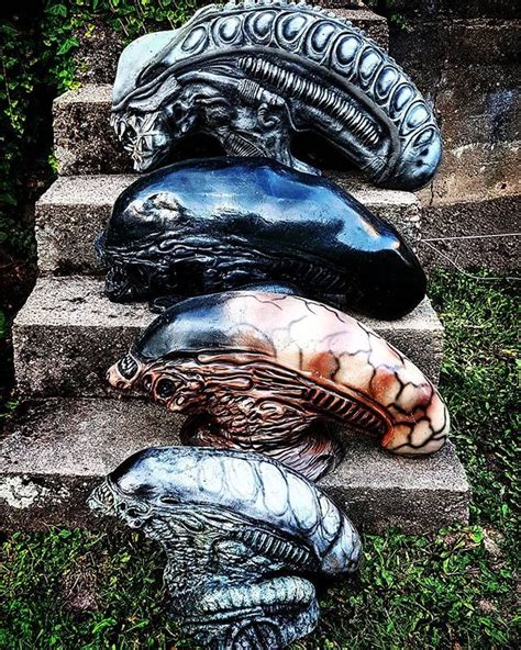 (half masks are predator masks that have no face because they will be covered at all times with an additional environment this is an amazing custom elder predator based off mels avp mask. Part of our #lifesize #DistortionsUnlimited #Alien & # ...