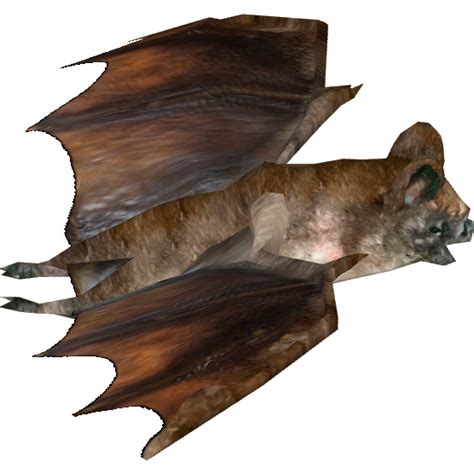 Ambient Vampire Bat Hispa Designs Zt2 Download Library Wiki Fandom