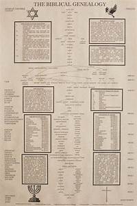 Buy The Biblical Genealogy Chart Family Tree From Adam To Jesus Books