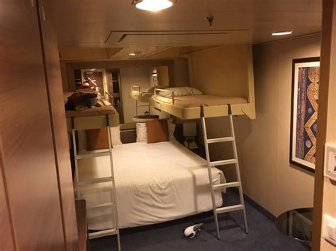 Person in der kabine reist: Bild "Vierbett Kabine" zu MSC Divina in