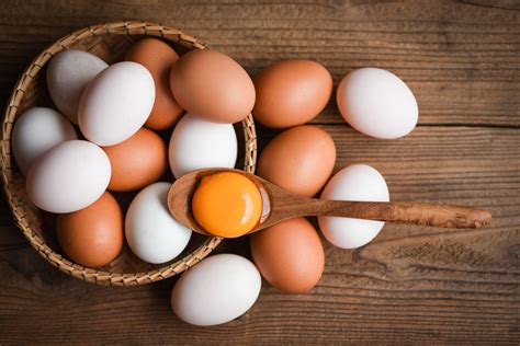7 Jenis Telur Ayam Yang Ada Di Pasaran Dan Cara Memilihnya