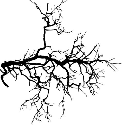 24 Spooky Tree Branch Png Transparent