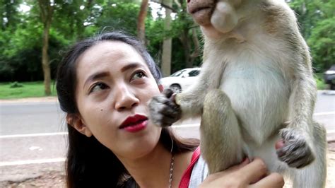Cute Girls Playing With Teenage Monkeys Kindly Girl Meet With Young