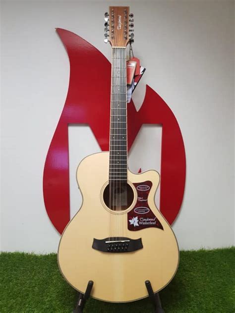 Tanglewood 12 String Acoustic Winterleaf M Guitars Downham Market