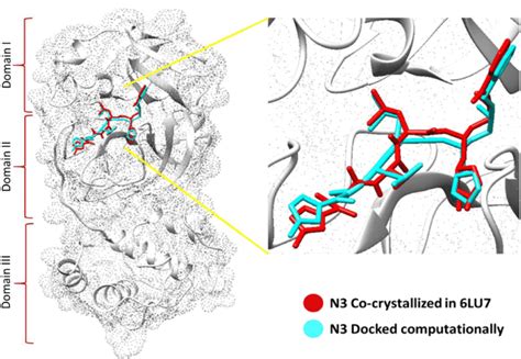 Orientation And Position Of N3 In The Binding Cleft Of 3cl Pro Pdb Id