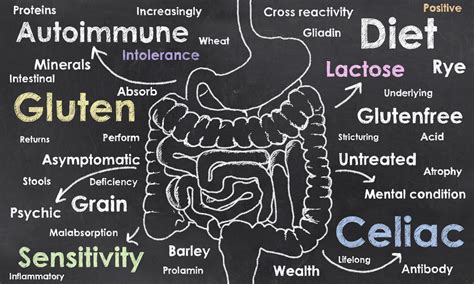 Celiac Disease And The Gluten Free Diet To Healthy Digestive System