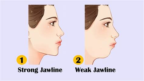 Personality Test Your Jawline Reveals Your Hidden Personality Traits