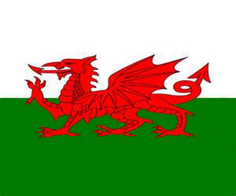 Welsh Flag Image