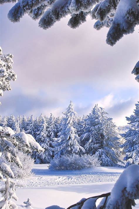 2555 Best Images About Winter Wonderland On Pinterest Winter