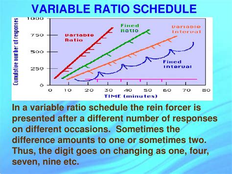 Fixed Ratio Reinforcement Schedule Psychology