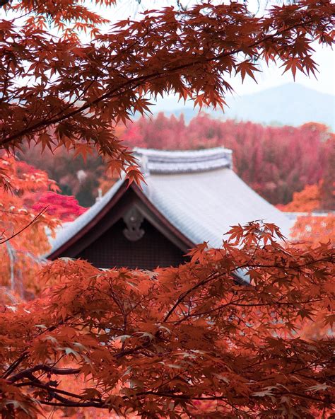 Japan In Autumn