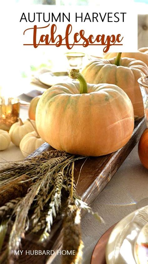 5 Tips To Create An Autumn Harvest Table Harvest Table Harvest Fall