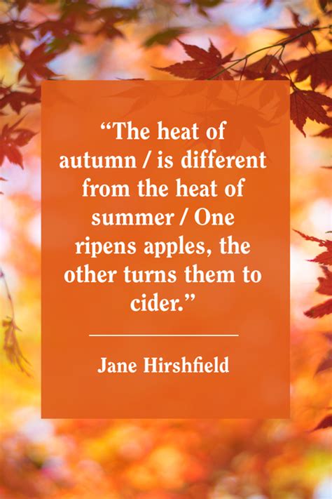 55 Best Fall Quotes 2020 Inspirational Autumn Quotes For Instagram