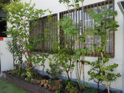 狭い植栽枡のリ・ガーデン 熊谷市 H社 - 雑木の庭、庭づくり、水はけ改善、環境改善、お庭に関する ことなら中央園芸