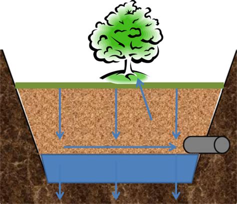 Design Guidelines For Soil Characteristics Tree Trenches And Tree