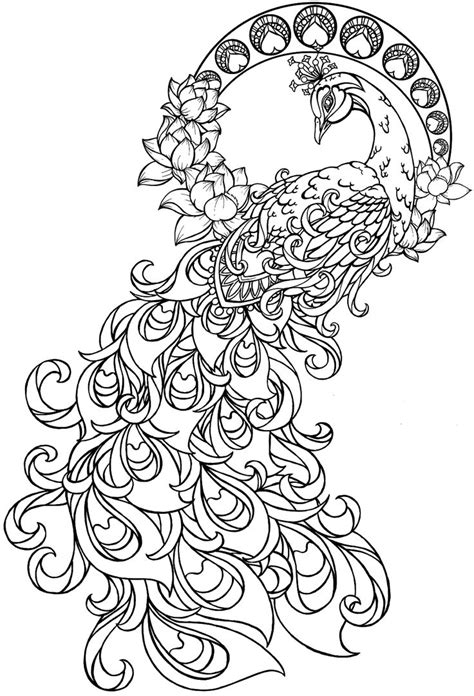 Peacock Coloring Page Peacock Pinterest Peacock Adult Coloring