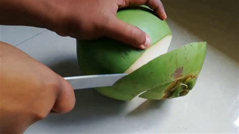 How To Open A Green Coconut Different Types Of Coconuts Vtwctr