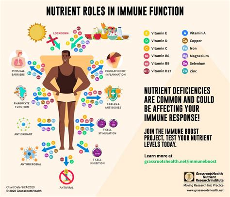 Nutrient Roles In Immune Function Infographic Grassrootshealth