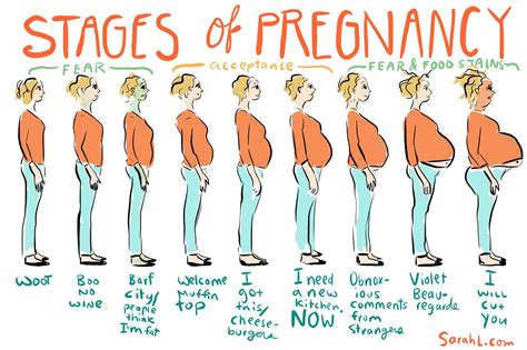 What A Woman Goes Through For 9 Months Pregnancy Pregnancystruggles