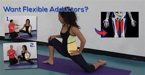Want Flexible Adductors Easyflexibility
