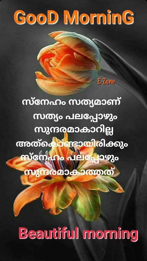 An Incredible Compilation Of Over 999 Good Morning Images In Malayalam