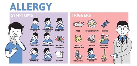 Allergy Infographics Allergy Symptoms And Triggers Information Poster