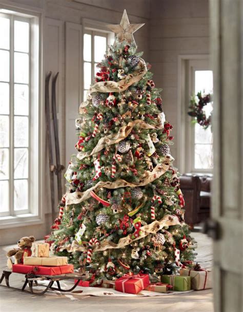 Amazing Photographs Showing Beautiful Christmas Tree Ideas Incredible