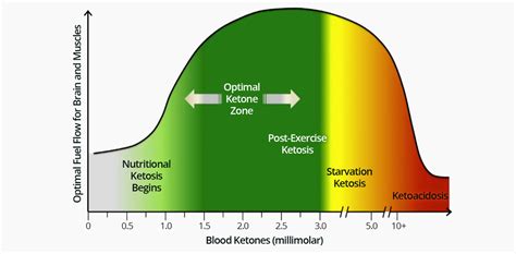 When we limit our carbohydrate intake, moderate our protein and eat a greater portion of fat our bodies glucose and insulin levels are lowered. Blood ketone level clarification - Ketogenic Forums