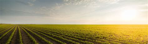 Agriculture provides most of the world's food and fabrics. Agriculture Analysis & Crop Science Analytical Solutions