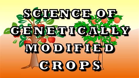 Science Of Genetically Modified Crops Youtube