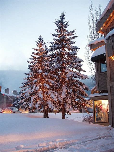 Christmas Trees In Park City Utah Holiday Lights Christmas Lights