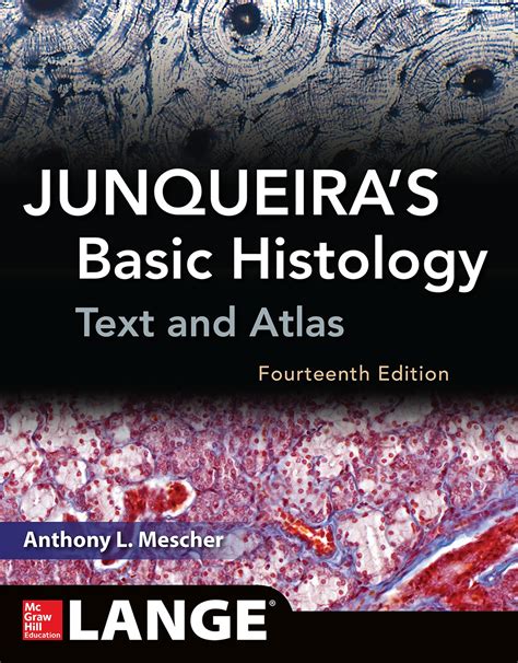 Junqueiras Basic Histology 14e Accessmedicine Mcgraw Hill Medical