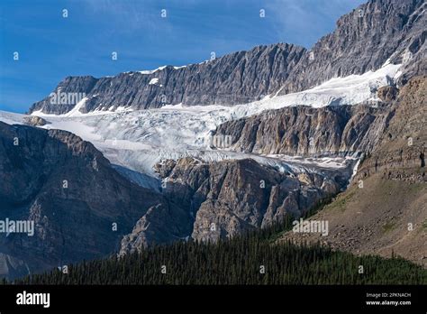 Crowfoot Glacier Along Icefields Parkway Banff National Park Alberta