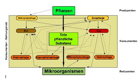 Audiodateien (mp3) und arbeitsblätter (pdf). Ernaehrungstypen und Ernaehrungsweise
