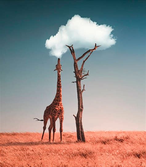 Surreal Artworks by Ronald Ong | Daily design inspiration ...