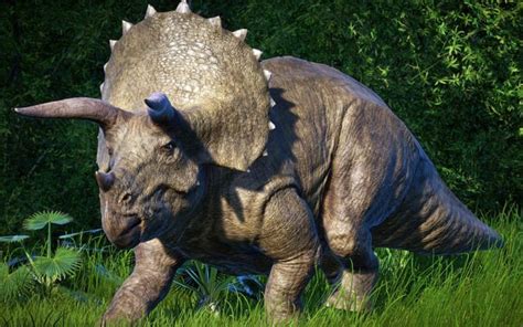 The Heaviest And Biggest Ceratopsians Top 10