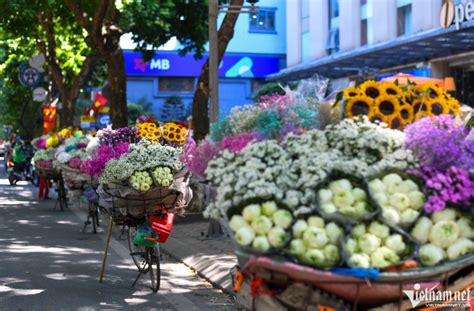 Thu Hà Nội đẹp nao lòng trên những chiếc xe hoa chở mùa qua phố Đài