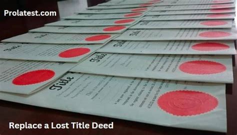 How To Replace A Lost Title Deed In Kenya In 2024