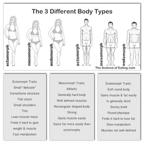 How To Choose The Best Diet Type For Your Body Type How To Diet Right For Your Body Healthy