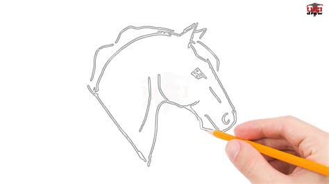 How To Draw A Horse Head Step By Step Easy For Beginners Simple Horse
