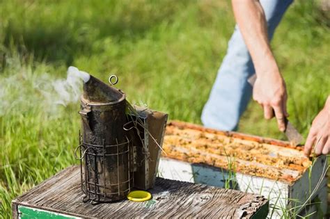 Beginning Beekeeping Supplies The 7 Things You Need To Be Successful