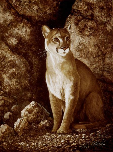 Cougar Wait Until Dark Malerei Als Poster Und Kunstdruck Von Frank