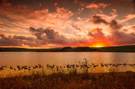 Download Lake Nature Sunrise Hd Wallpaper