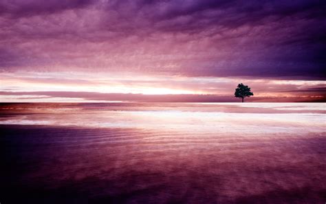 Purple Nature Wallpapers | HD Wallpapers | ID #11890