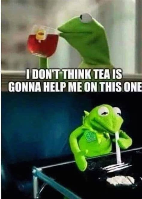 30 Best Of The Thats None Of My Business Kermit Meme Sfwfun